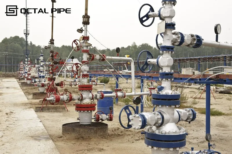 Wellhead and Christmas Tree (X-mas Tree) Wellhead and Christmas Tree (X-mas Tree)